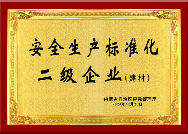 自治區(qū)安全生產(chǎn)標準化二級企業(yè)